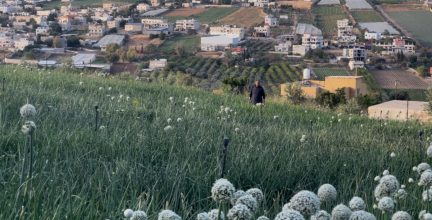 من الزراعة إلى “الشاليهات”: نساء النصارية يواجهن فقدان الأرض والاستقلال الاقتصادي